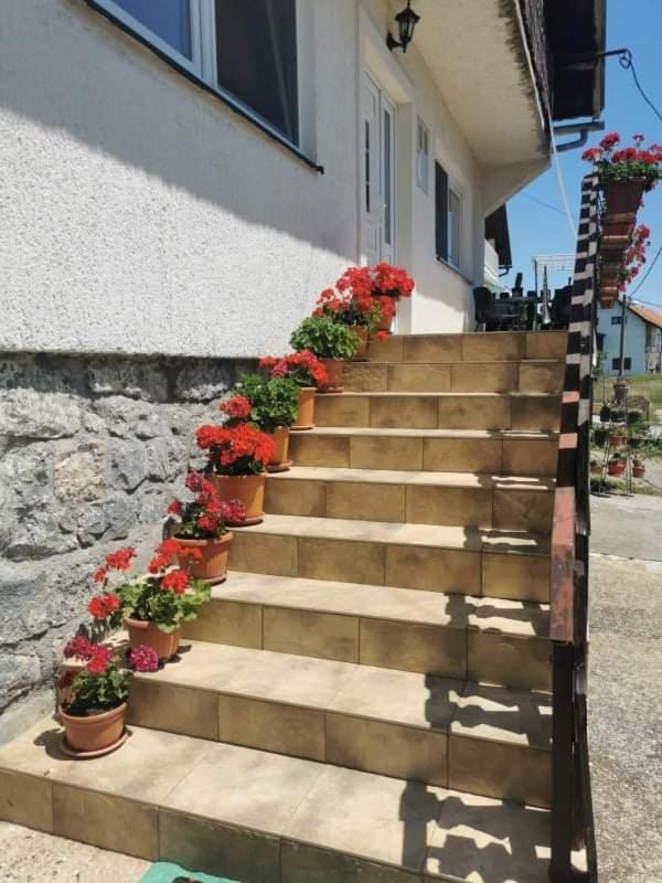 Apartman Pavelic Lovinac  Bagian luar foto
